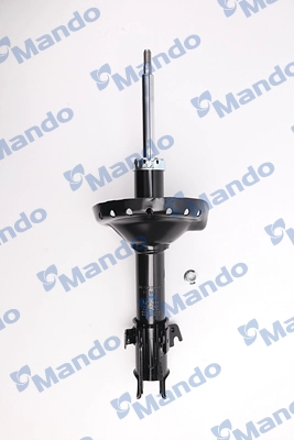 MSS016070