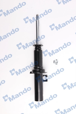 MSS016321