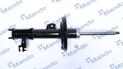 MSS017260