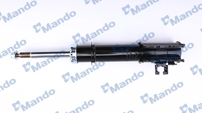 MSS016389