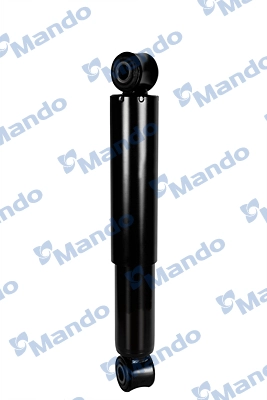 MSS016713
