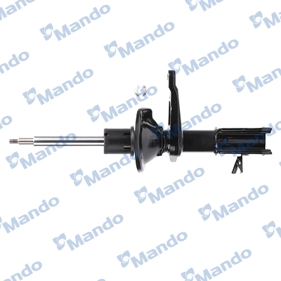 MSS016281