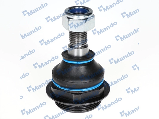 MSA025194