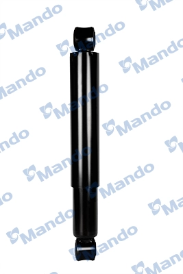 MSS016719