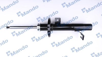 MSS017138