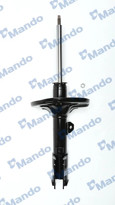 MSS017514