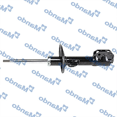 MSS020290