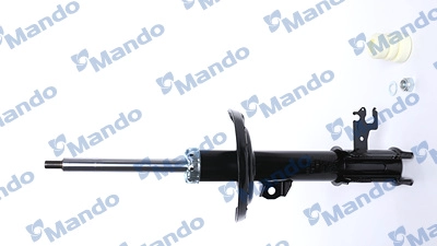 MSS016131