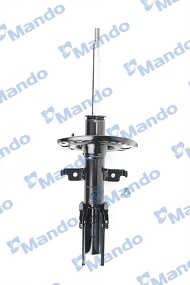MSS025507