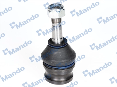 MSA025071