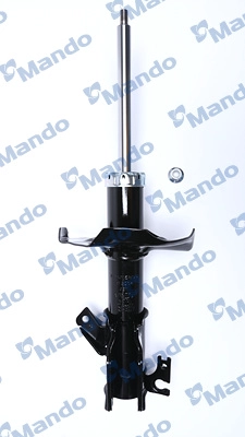 MSS015895