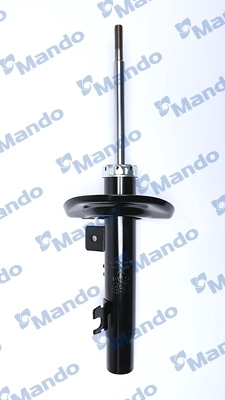MSS017141