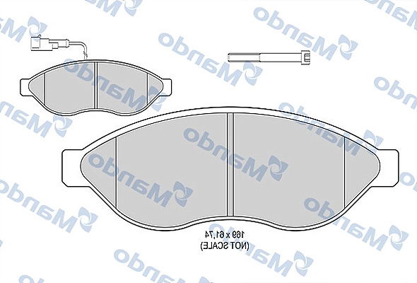 MBF015036