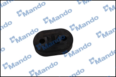 DCC000215