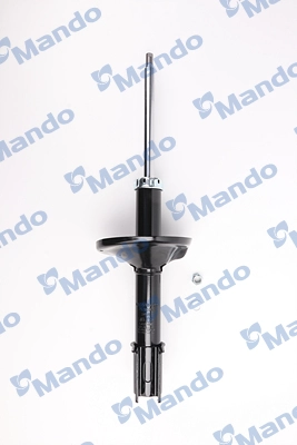 MSS016309