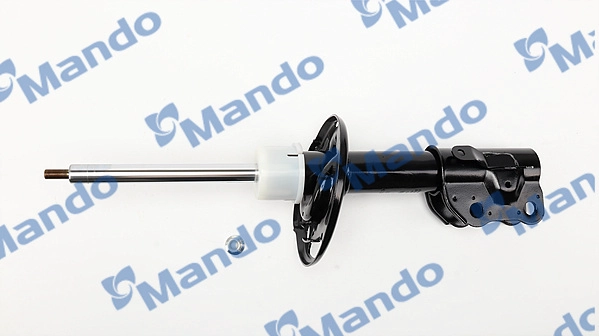 MSS016204