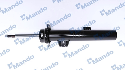 MSS016151