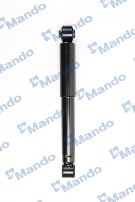 MSS016843