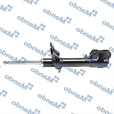 MSS020109