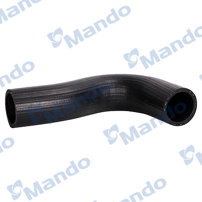 DCC020953