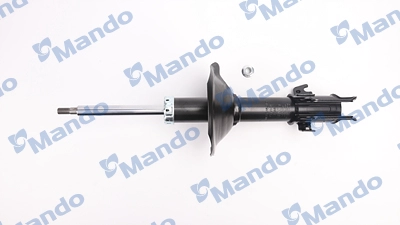 MSS015915