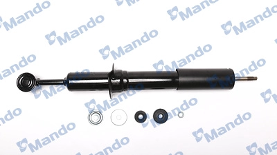 MSS015620