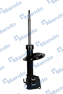 MSS017205