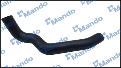 DCC020598