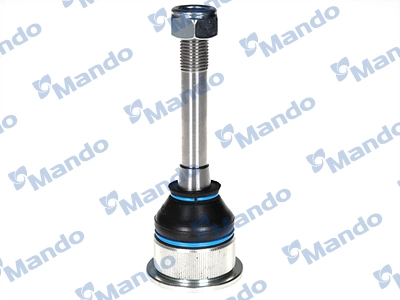 MSA025016