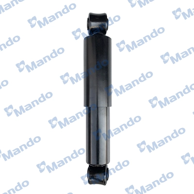 MSS016813