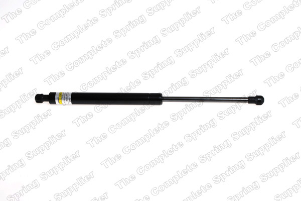 GS1011