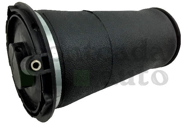 RKB 101460
