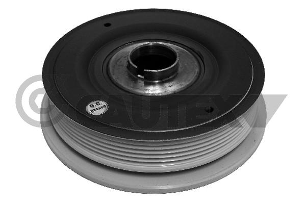 8200195546