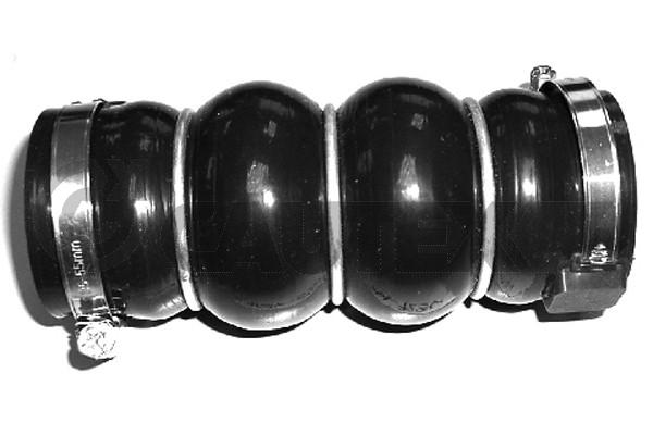 031354