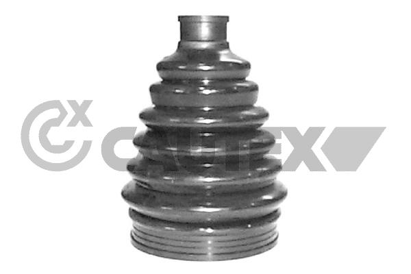 030056