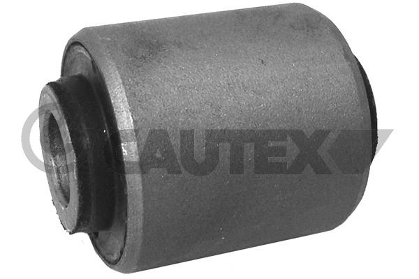755504