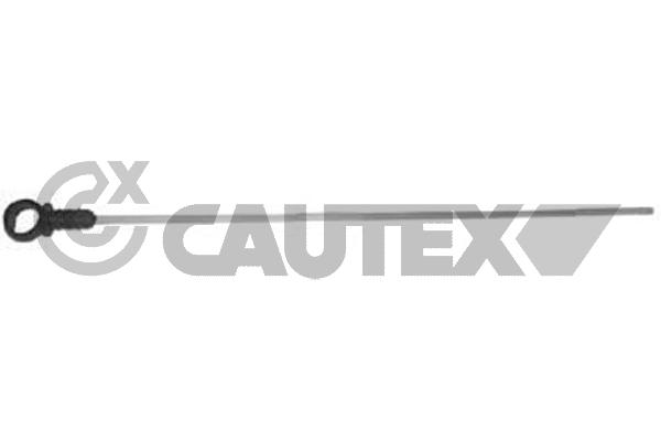 031584