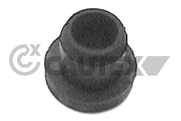 010543