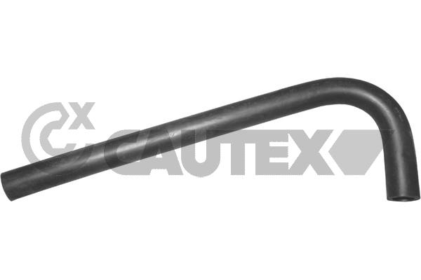 486004