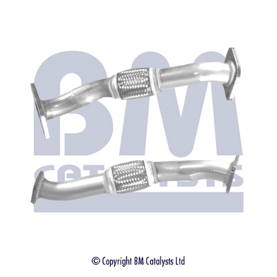BM50310