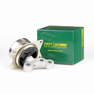 FEM3915