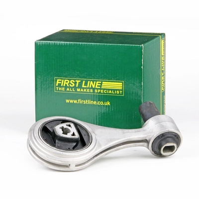 FEM3895