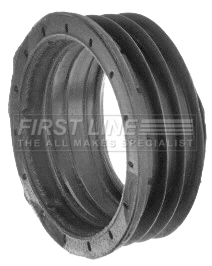 FTH1696
