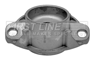 FSM5253