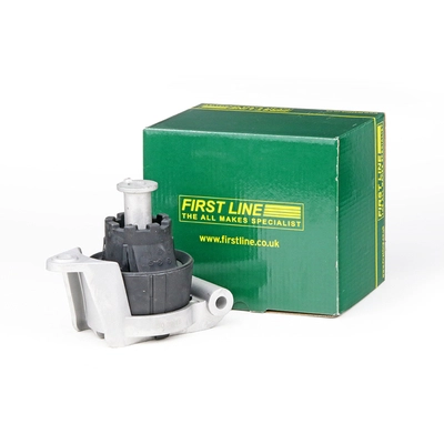 FEM3350