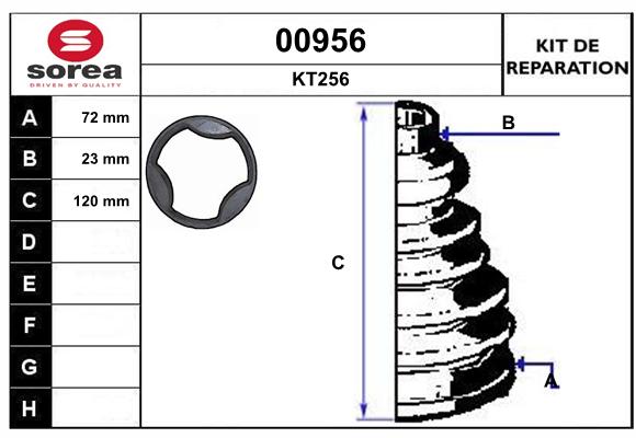 31256224