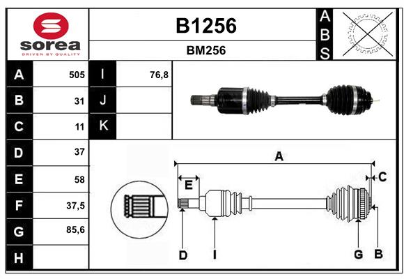 B1256