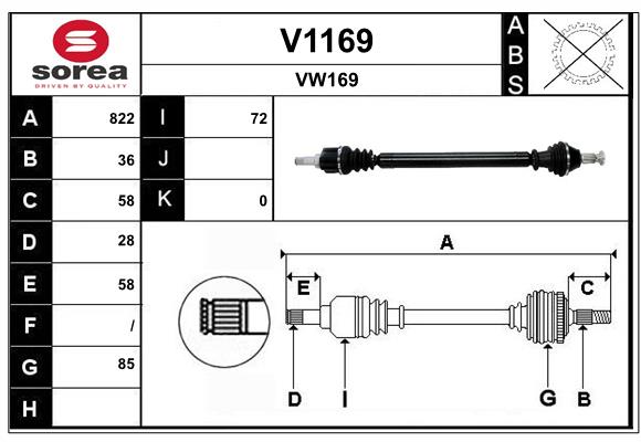 V1169