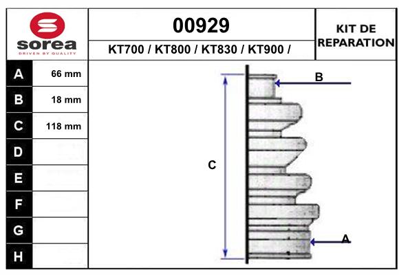 BAU4608