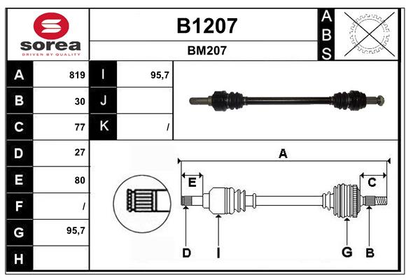 B1207